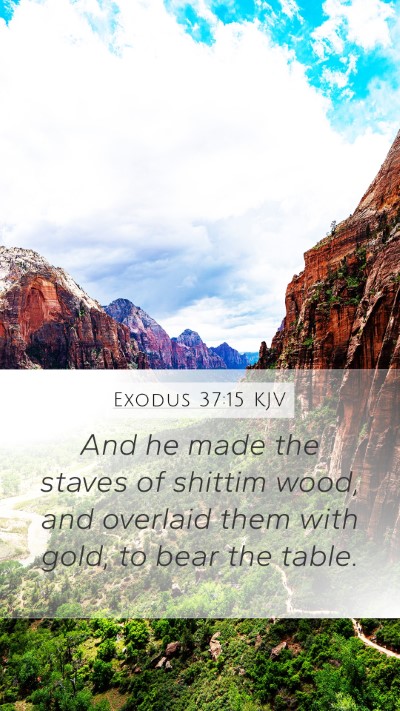 Exodus 37:15 Explained