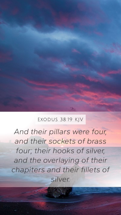 Exodus 38:19 Explained