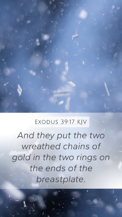 Exodus 39:17 Explained