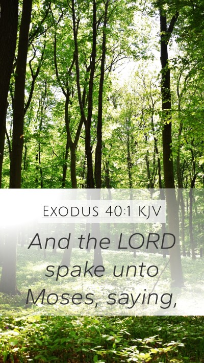 Exodus 40:1 Explained