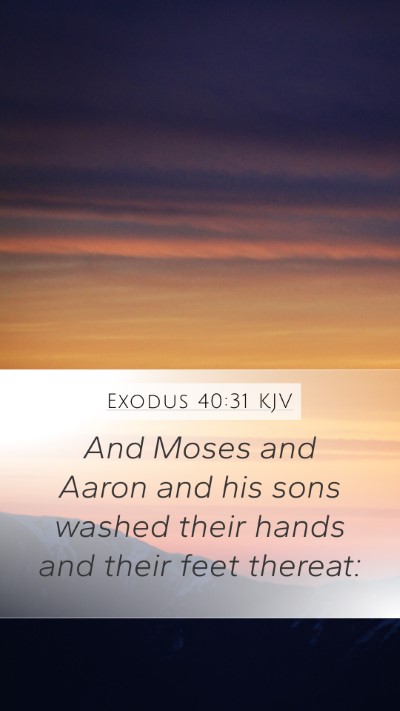 Exodus 40:31 Explained