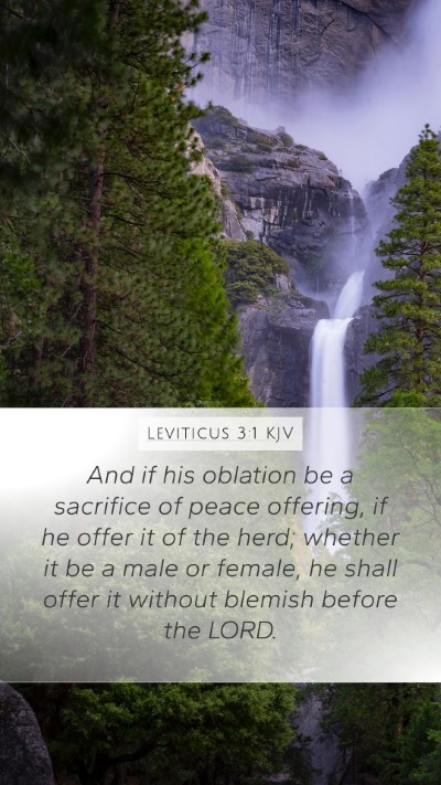 Leviticus 3:1 Explained