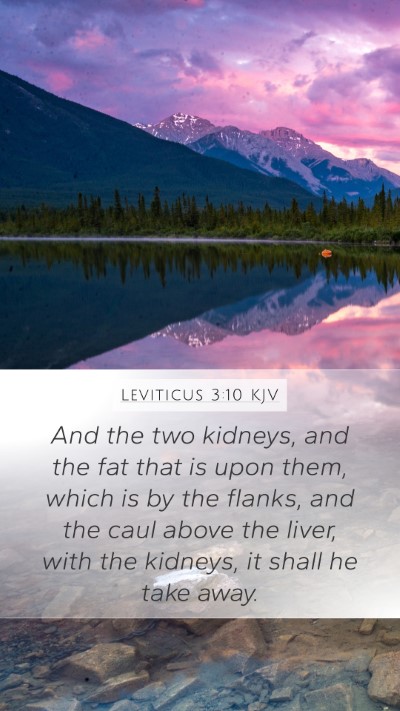 Leviticus 3:10 Explained