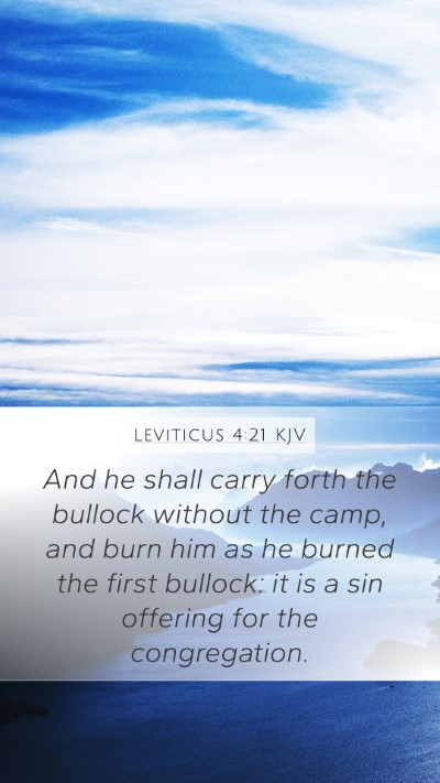 Leviticus 4:21 Explained