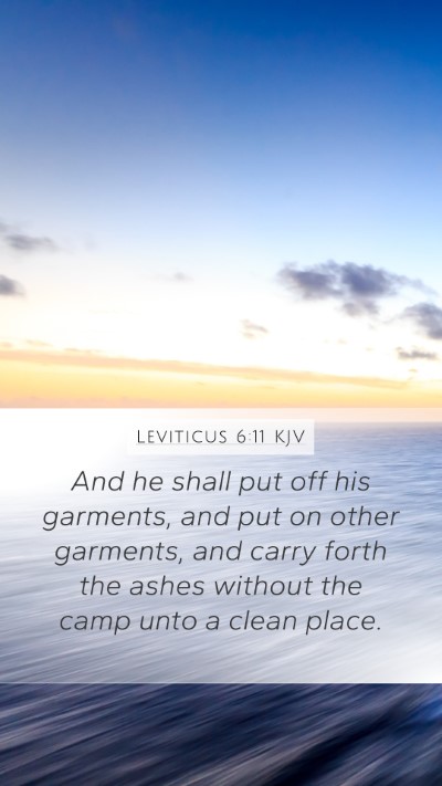 Leviticus 6:11 Explained