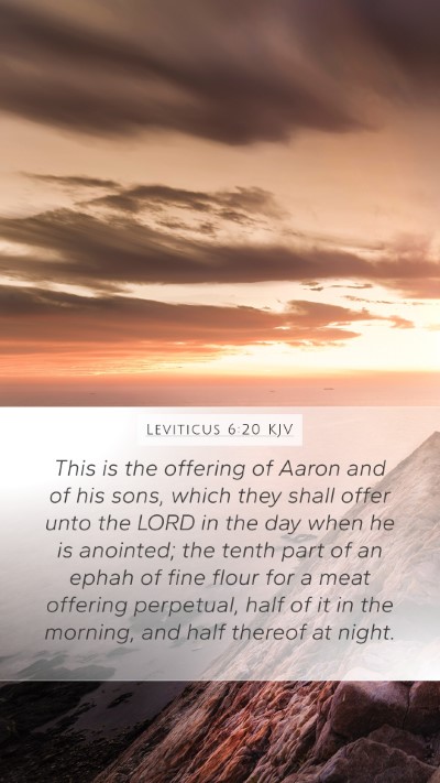 Leviticus 6:20 Explained