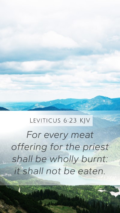 Leviticus 6:23 Explained