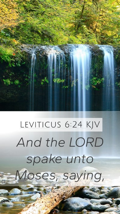 Leviticus 6:24 Explained