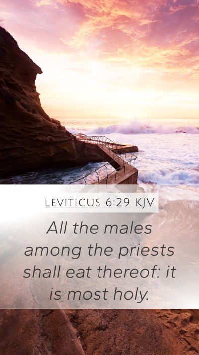 Leviticus 6:29 Explained