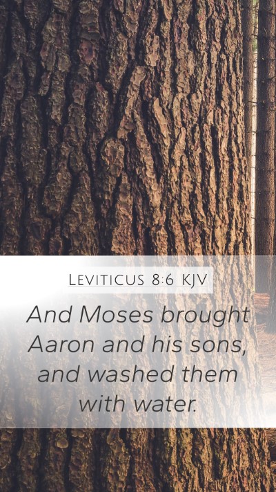 Leviticus 8:6 Explained