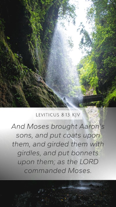 Leviticus 8:13 Explained