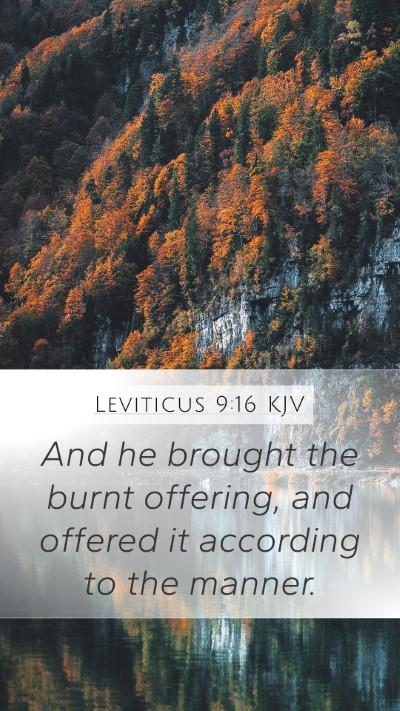 Leviticus 9:16 Explained