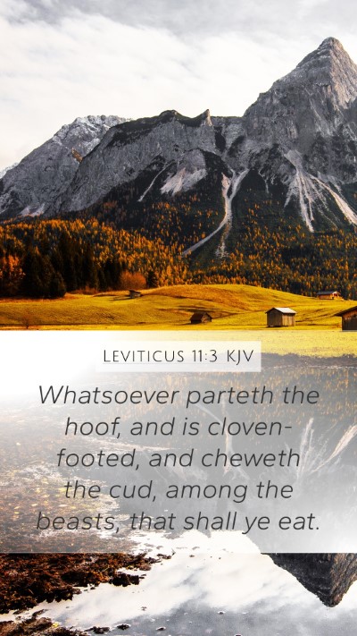 Leviticus 11:3 Explained