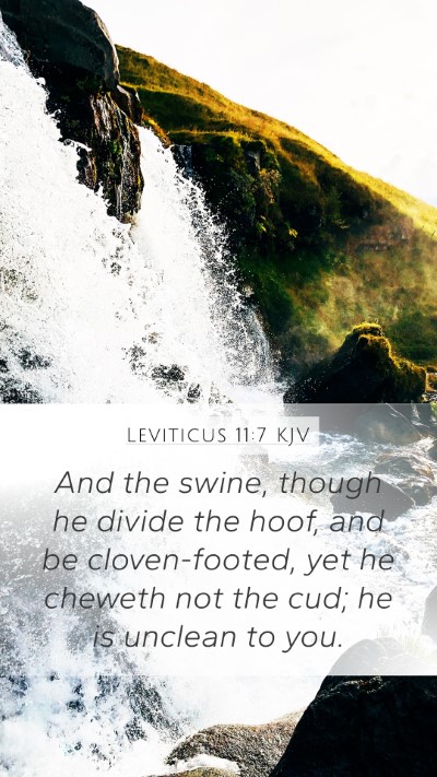 Leviticus 11:7 Explained