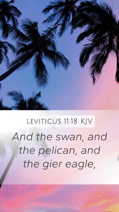 Leviticus 11:18 Explained