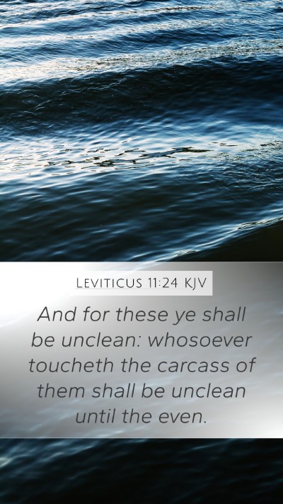 Leviticus 11:24 Explained