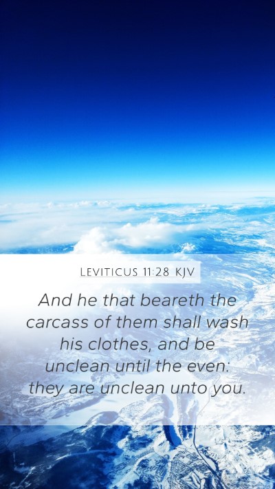 Leviticus 11:28 Explained