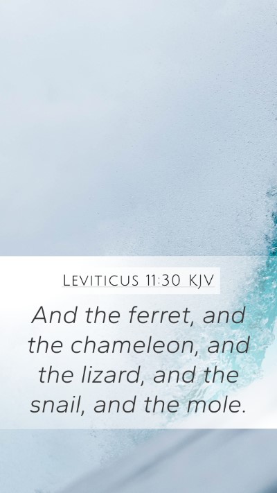 Leviticus 11:30 Explained