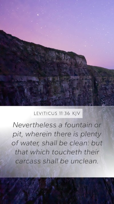 Leviticus 11:36 Explained