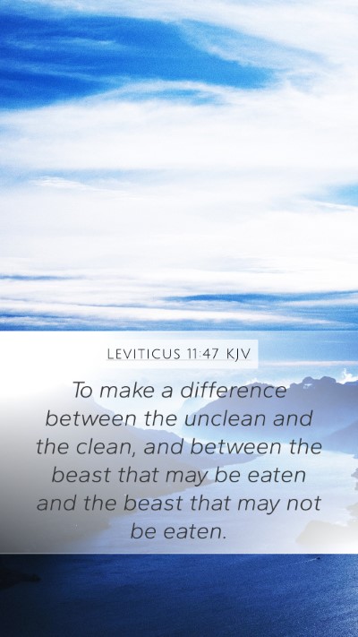 Leviticus 11:47 Explained