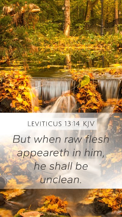 Leviticus 13:14 Explained