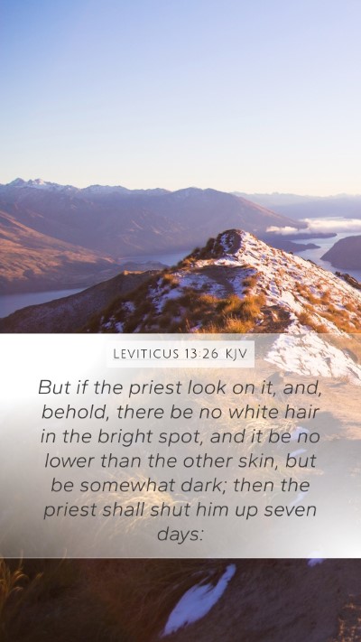 Leviticus 13:26 Explained