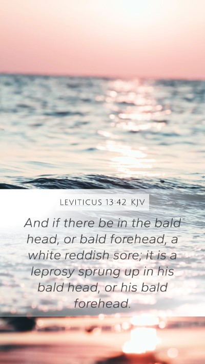 Leviticus 13:42 Explained