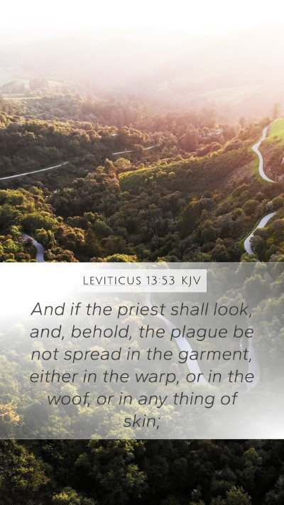 Leviticus 13:53 Explained