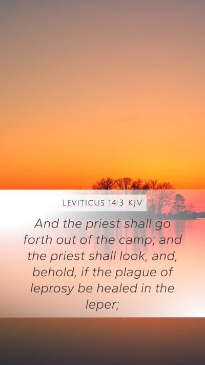 Leviticus 14:3 Explained