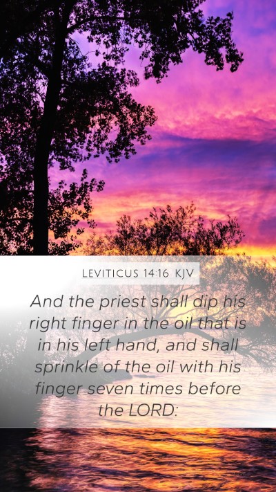 Leviticus 14:16 Explained