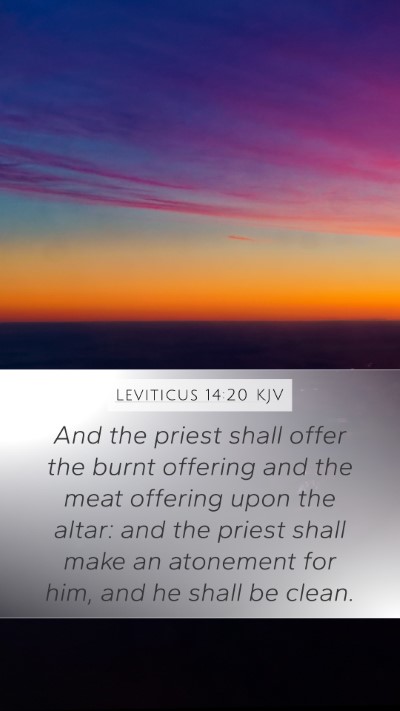 Leviticus 14:20 Explained