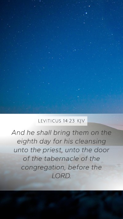 Leviticus 14:23 Explained