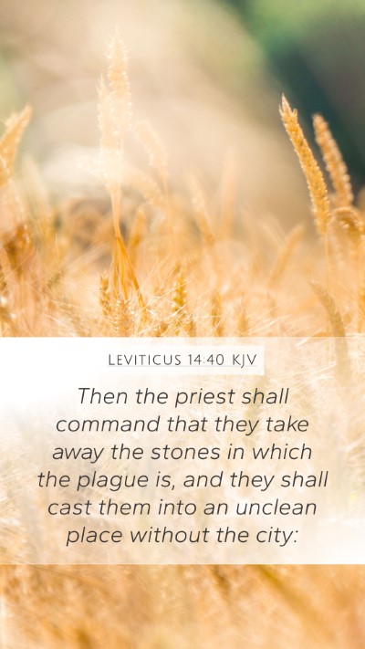 Leviticus 14:40 Explained