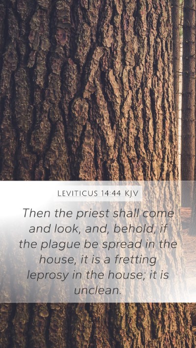 Leviticus 14:44 Explained