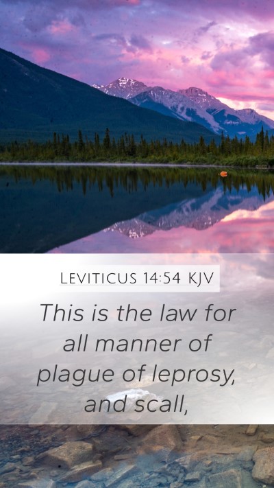 Leviticus 14:54 Explained