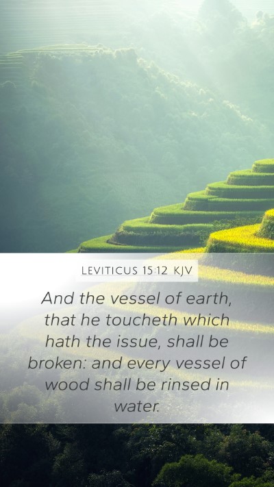 Leviticus 15:12 Explained