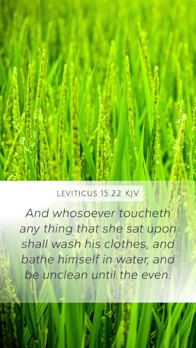 Leviticus 15:22 Explained