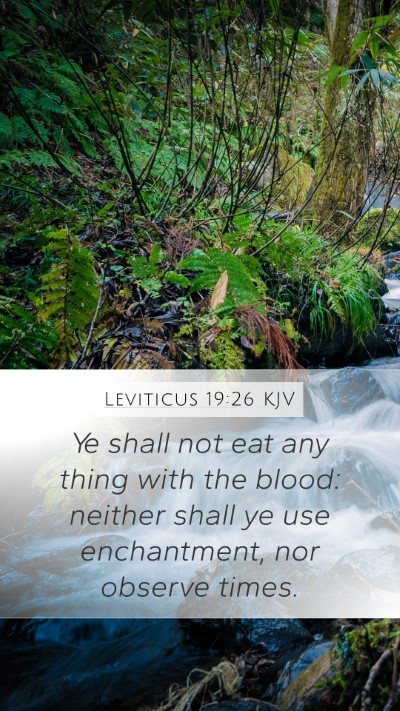 Leviticus 19:26 Explained