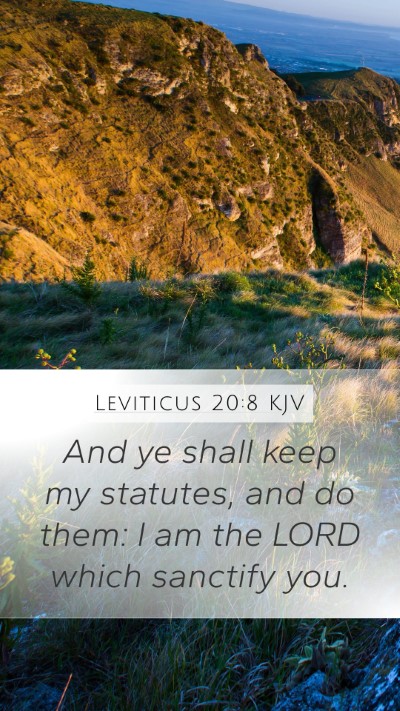 Leviticus 20:8 Explained