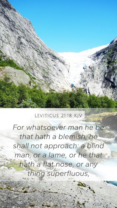 Leviticus 21:18 Explained