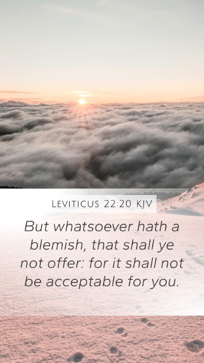 Leviticus 22:20 Explained