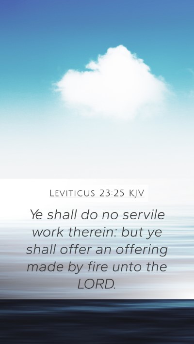 Leviticus 23:25 Explained