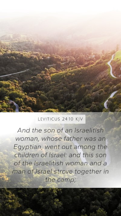 Leviticus 24:10 Explained