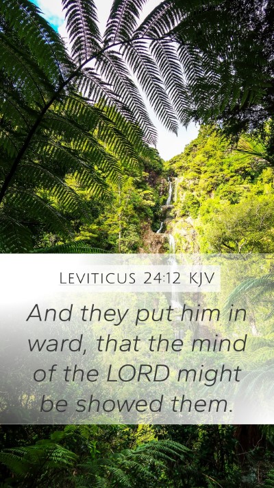 Leviticus 24:12 Explained