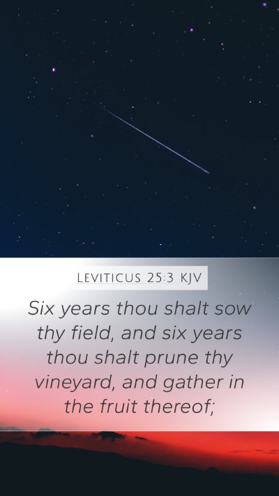 Leviticus 25:3 Explained