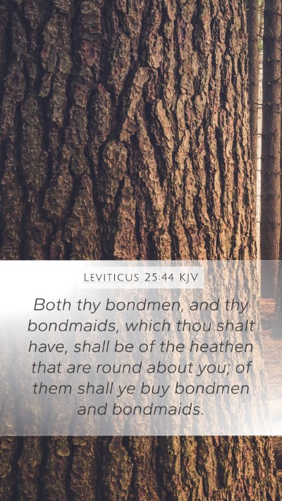 Leviticus 25:44 Explained