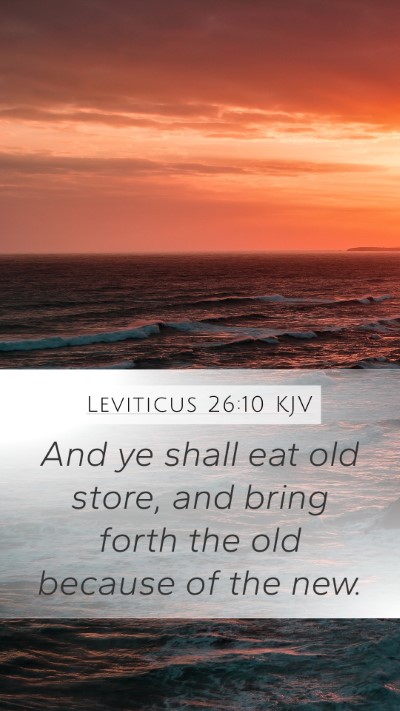 Leviticus 26:10 Explained