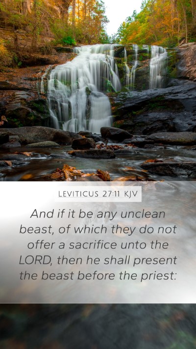 Leviticus 27:11 Explained