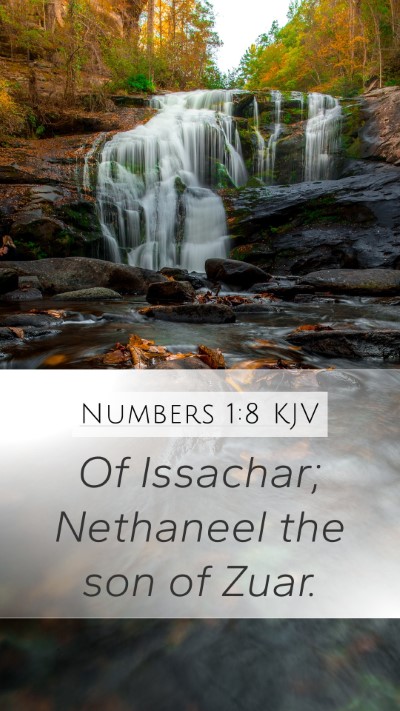 Numbers 1:8 Explained