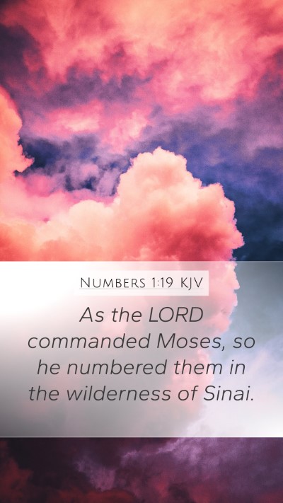 Numbers 1:19 Explained